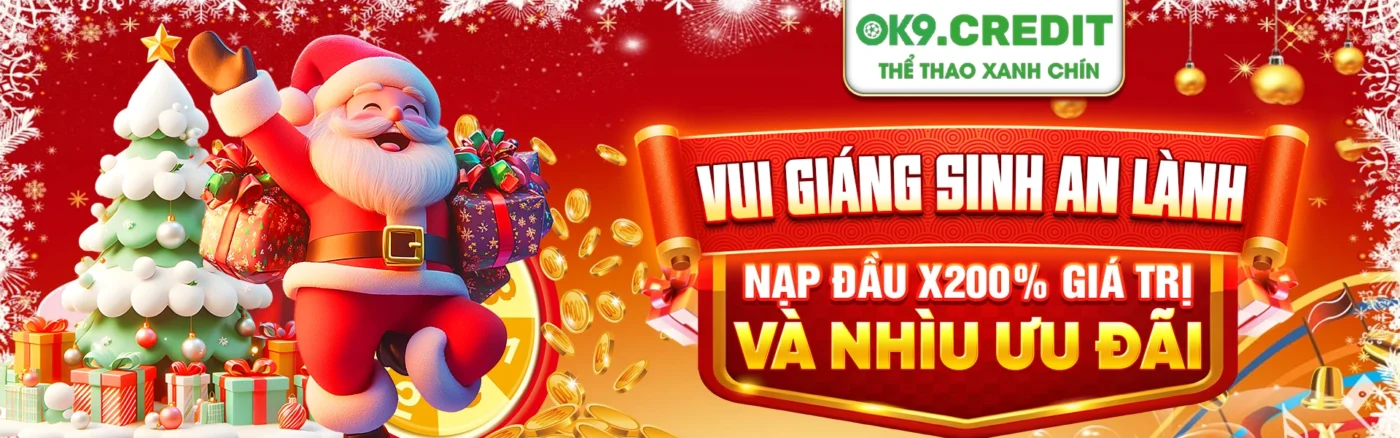 banner bergeijkonline.nl